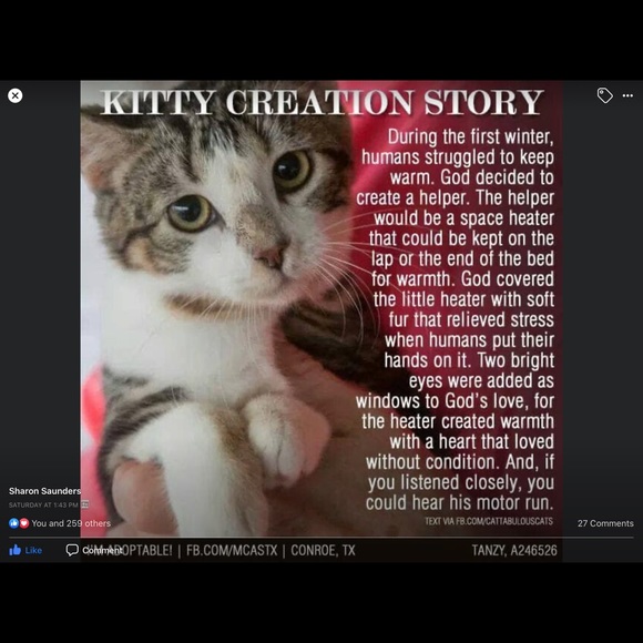 ❤️🐾Please Remember to be kind  ! 🐾❤️ - Picture 6 of 8